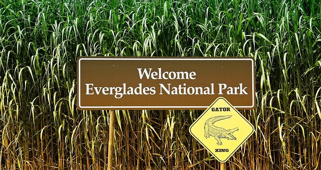 everglades national park, flórida