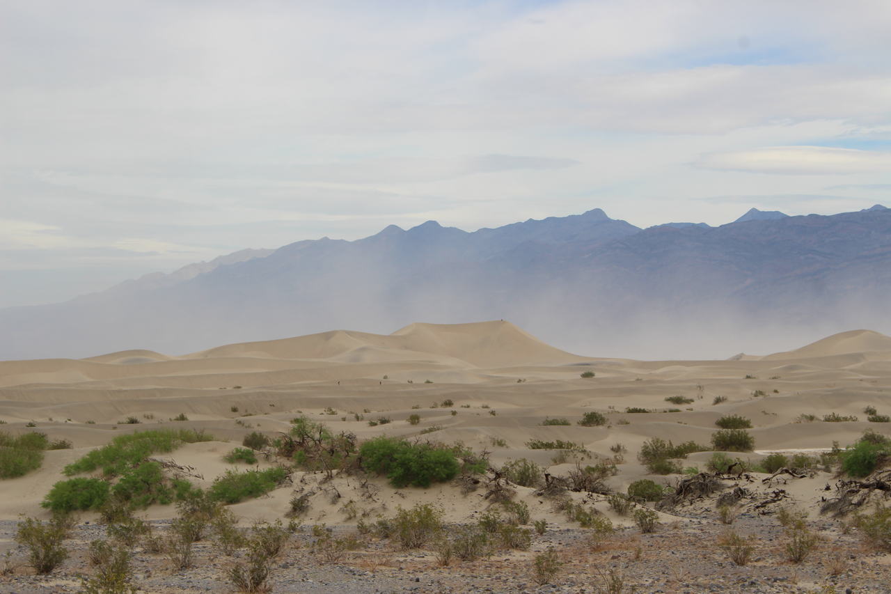 mesquite flat sand dunes, death valley