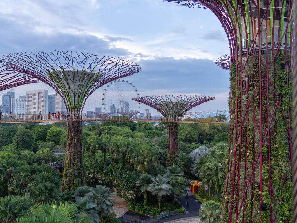 visitar singapura