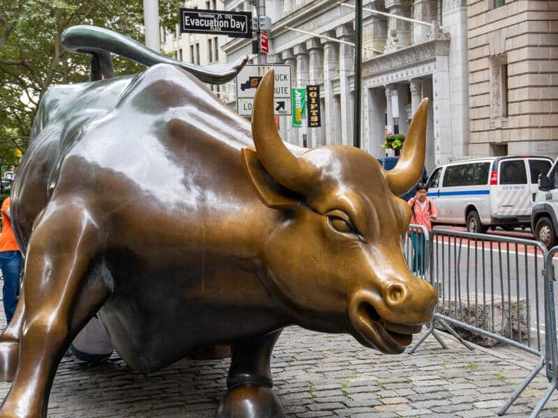 Charging Bull