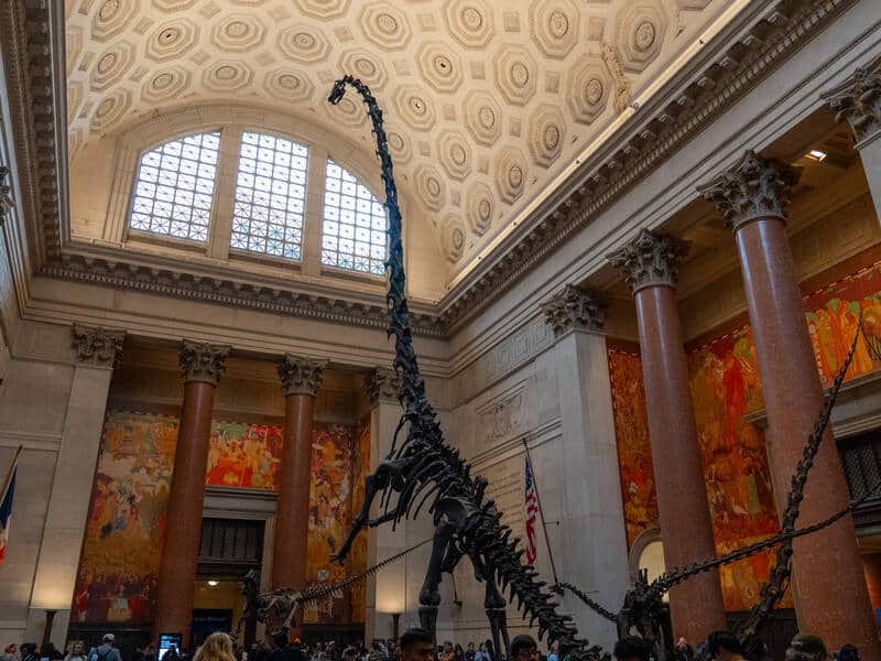 Museu de História Natural​​