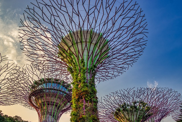 Supertree Observatory