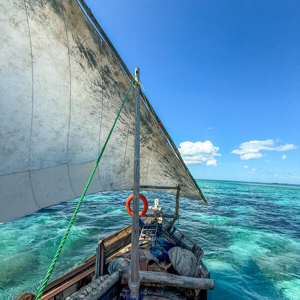 Safari Blue zanzibar