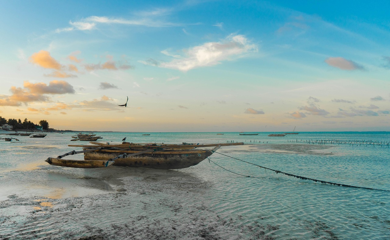 chegar zanzibar