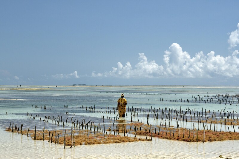 jambiani praia