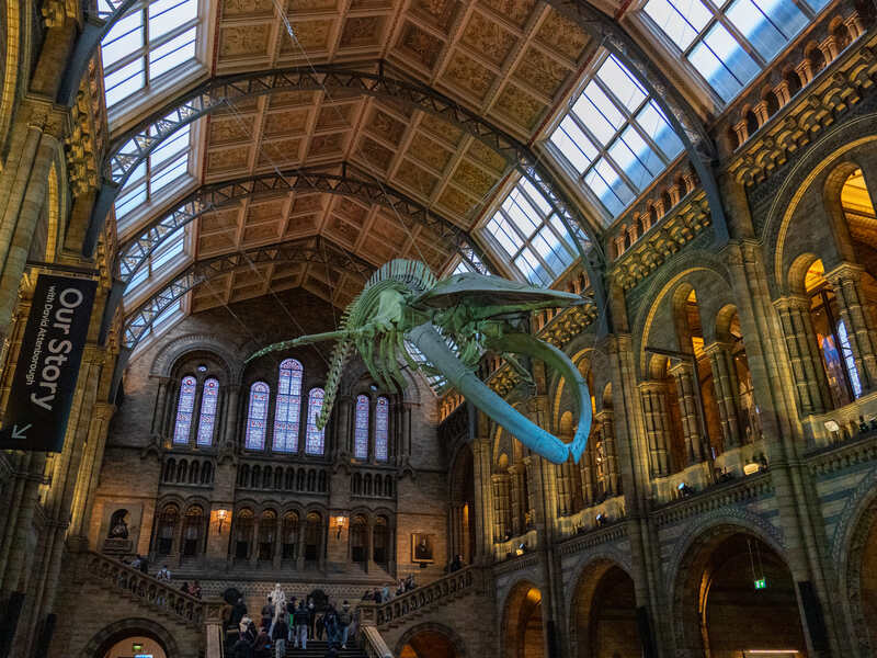 Natural History Museum