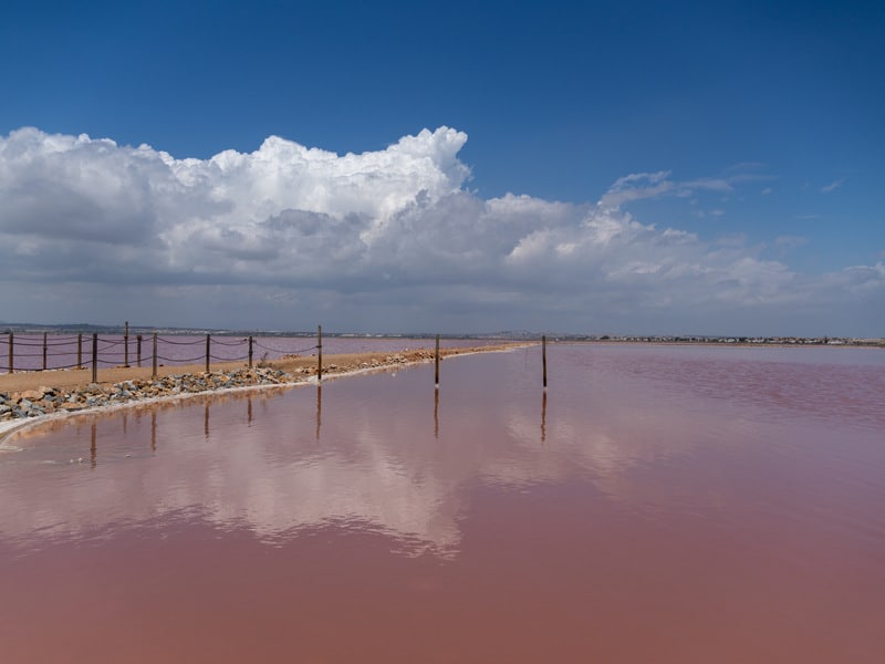 Lago Rosa de Torrevieja​