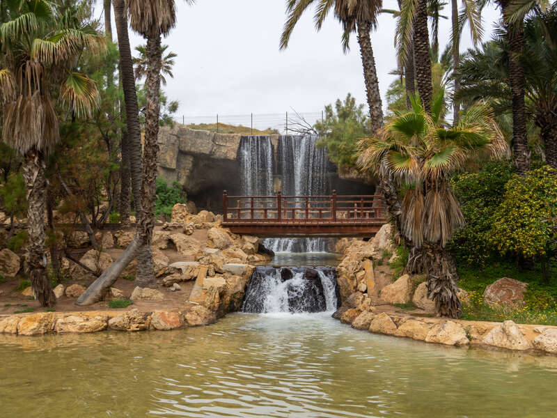 Parque El Palmeral​​​